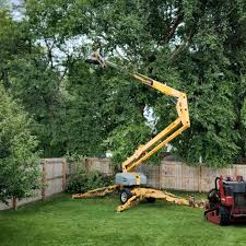 How Our Tree Care Process Works  in  Serenada, TX